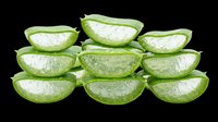 Stacked fresh aloe vera slices isolated on transparent background, ready for t-shirt design, stickers, print on demand, sublimation, and clipart use.
