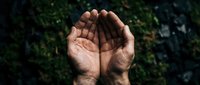 Open cupped hands reaching upward in prayer or receiving gesture against natural green foliage background for spiritual and wellness concepts.