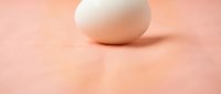 Single white chicken egg on soft pink background with gentle lighting and shadow for cooking and food photography concepts.