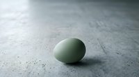 Single green egg on textured concrete surface with soft natural lighting for minimalist food photography and organic cooking concepts.
