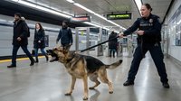 Police officer with German Shepherd dog patrolling subway station platform during security operation with commuters walking nearby.