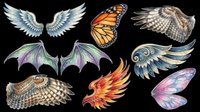 Isolated wings collection featuring angel wings, bat wings, butterfly wings, owl wings, phoenix wings, and fairy wings on transparent background. Ready for t-shirt design, clipart, stickers, sublimation, and print-on-demand projects.