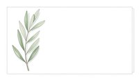 Elegant green botanical branch with elongated leaves isolated on white background for natural design projects and organic branding materials.