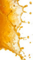 Dynamic golden liquid splash with droplets dispersing against white background, suitable for beverage, cosmetic, and wellness product marketing materials.
