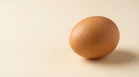 Single brown chicken egg on neutral beige background with soft natural lighting and minimalist composition for cooking and food photography.