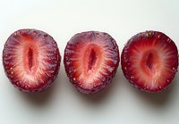 Fresh cut red strawberries showing vibrant internal pattern and texture against white background, macro photography highlighting natural organic detail.