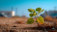 Young green plant sprouting from dry soil against blurred urban background, symbolizing hope, resilience and environmental renewal in harsh conditions.