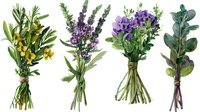 Four small herb bundles with yellow flowers, purple lavender, green leafy herbs and eucalyptus branches tied with natural twine on white background.