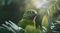 Green parrot with expressive eyes peeks through tropical foliage in soft natural lighting, creating atmospheric wildlife portrait against blurred botanical background.