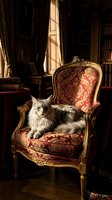 Long-haired tabby and white cat lounging on ornate gold-trimmed armchair with burgundy damask upholstery in luxurious library setting with sunlight streaming through windows.