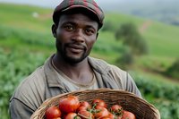 African American farmer holding basket of fresh ripe tomatoes in agricultural field with green landscape background for organic farming content.