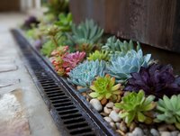 Colorful succulent plants arranged in drainage gutter with pebbles along wooden wall, creating modern garden design for small spaces.