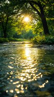Sunlight breaks through green forest canopy, creating golden reflections on flowing stream water with sparkling bokeh effect. Natural summer landscape at sunset.