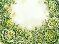 Succulent plants and roses arranged in a decorative frame on isolated white background, ready for invitations, greeting cards, and design projects.