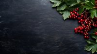 Fresh red currant berries with green leaves arranged on dark stone background with copy space, natural food photography for menu design and recipes.