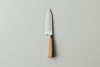 Sharp steel santoku knife with wooden handle on light gray background, minimalist kitchen utensil composition for culinary and food preparation concepts.