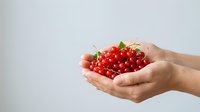 Close-up of hands holding fresh red currants with green stems against white background. Suitable for food, nutrition, and healthy eating content.