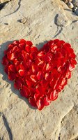 Red rose petals arranged in heart shape on sandy beach stone surface for romantic love concept and wedding decoration.
