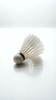 White feathered badminton shuttlecock with cork base and black band isolated on white background, ready for sports and recreation design projects.