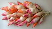 Fresh organic pink and white radishes with green stems arranged in rows on neutral background, natural food photography for healthy eating concept.