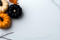 Orange and black decorative pumpkins on white marble background with dry branch, minimal autumn composition with copy space for seasonal design.