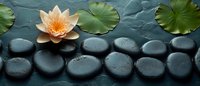 Peach water lily flower with green lotus leaves floating above wet black spa stones on dark water surface, creating zen atmosphere for wellness concept.