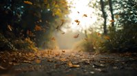 Autumn leaves falling on forest path with golden sunlight streaming through trees creating magical seasonal atmosphere for nature and outdoor adventure concepts.