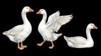 White geese set in three poses, isolated on transparent background, ready for stickers, clipart, t-shirt design, print on demand, and sublimation projects.