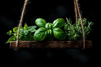 Fresh aromatic herbs growing in rustic wooden hanging planter against dark background, dramatic lighting highlights basil and thyme leaves.