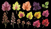Watercolor autumn leaves and botanical branches in vibrant fall colors isolated on transparent background. Ready for t-shirt design, clipart, stickers, sublimation, print-on-demand products and digital crafts.
