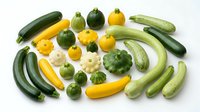 Fresh organic zucchini and summer squash varieties including yellow crookneck, pattypan, and green zucchini arranged on white background for healthy cooking.