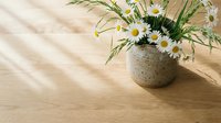 Fresh white daisies and green grass in ceramic vase on natural wood table with soft sunlight creating peaceful home decor atmosphere for spring interior design.