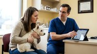 Young woman holding small white fluffy dog during veterinary consultation with male doctor in blue scrubs at modern animal clinic office.