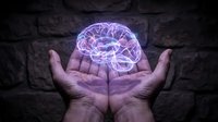 Hands holding glowing purple brain hologram against dark brick wall background, representing artificial intelligence, neural networks, and digital technology concepts.