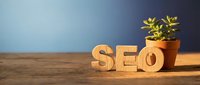 Wooden SEO letters on a rustic table beside a small potted succulent plant, symbolizing digital marketing growth and online business optimization.