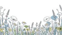 Hand-drawn wildflower meadow border with poppies, lavender and daisies in soft colors. Botanical line art frame for spring and summer designs.