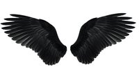 Black angel wings spread wide on white background, isolated for easy design integration into logos, tattoos, and creative projects.