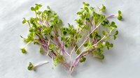 Fresh microgreens with vibrant green leaves and purple stems arranged in heart shape on white background, ready for culinary use.