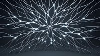 Glowing neural network with silver branching lines and light nodes radiating outward on dark background, symbolizing technology and connectivity.