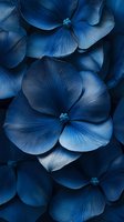 Vibrant blue hydrangea flowers in macro view showing delicate petal texture and natural gradient. Dark moody floral background for luxury design projects.