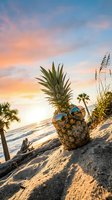 Cool pineapple with sunglasses on sandy beach at sunset with palm trees and ocean waves creating tropical vacation vibes for summer holiday concepts.