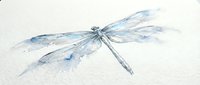 Delicate watercolor dragonfly with translucent blue wings on textured paper background. Soft artistic insect illustration for nature and wildlife projects.