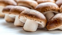 Fresh brown champignon mushrooms arranged in row on white wooden surface, macro food photography with selective focus and natural lighting.