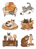 Ginger and tabby cats relaxing on furniture, playing with toys, sitting in cardboard box, and using scratching post isolated on white background for design use.