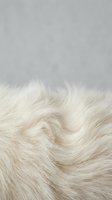 Soft white animal fur texture with swirling patterns against neutral gray background for cozy interior design and natural material concepts.