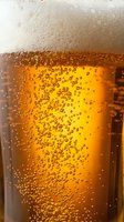 Close-up of golden beer with dense carbonation bubbles rising through amber liquid and creamy foam head, suitable for beverage, brewery, and hospitality marketing.