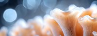 Delicate coral-colored mushroom gills in macro view against blurred blue bokeh background, creating dreamy natural abstract composition for nature and fungi designs.