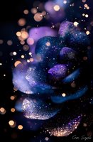 Magical glowing petals with sparkles and bokeh effects in deep blue and purple colors create dreamy atmospheric background for fantasy designs.