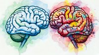 Watercolor brain illustration showing left and right hemispheres with colorful artistic splashes representing creativity and logic in medical education.