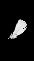 White feather isolated on transparent background, ready for t-shirt design, stickers, clipart, sublimation, and print on demand projects.